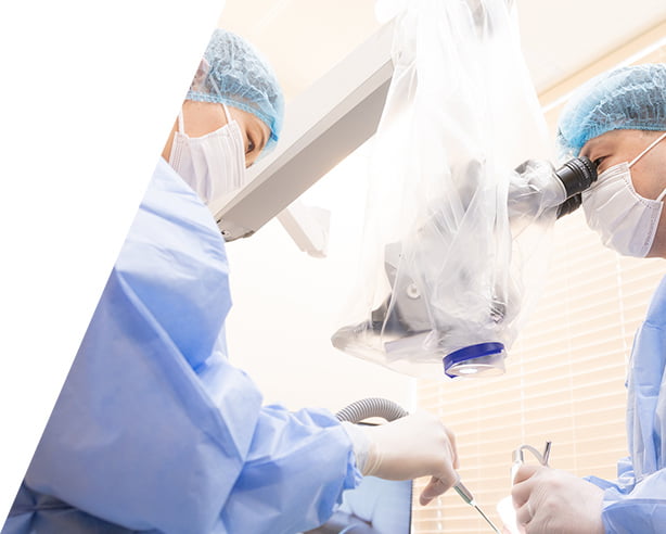 精密根管治療の治療風景01